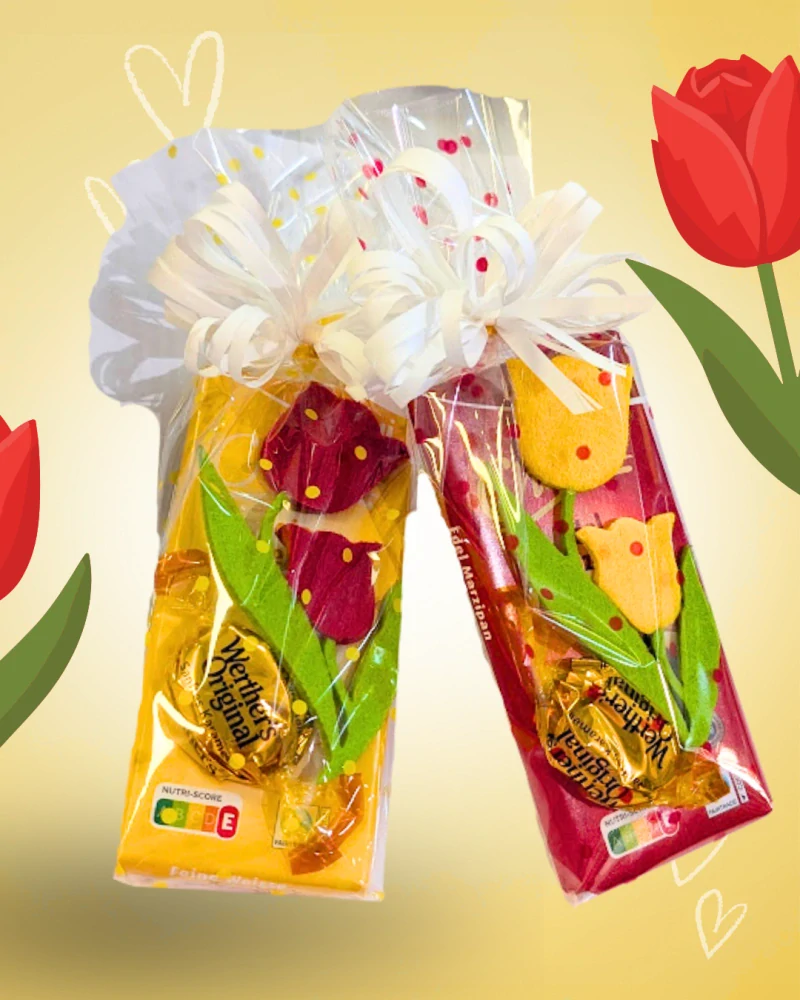 Mini balíček Tulipánek