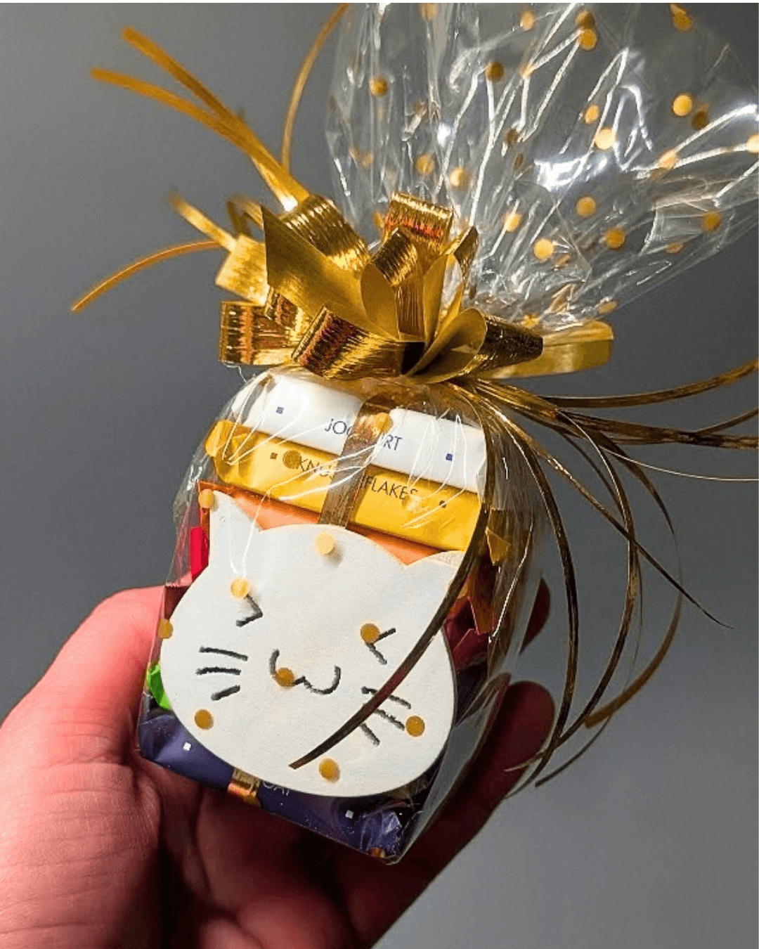 Mini dárkový balíček Ritter sport čokoládky DUHA KOČIČKA OBLIČEJ