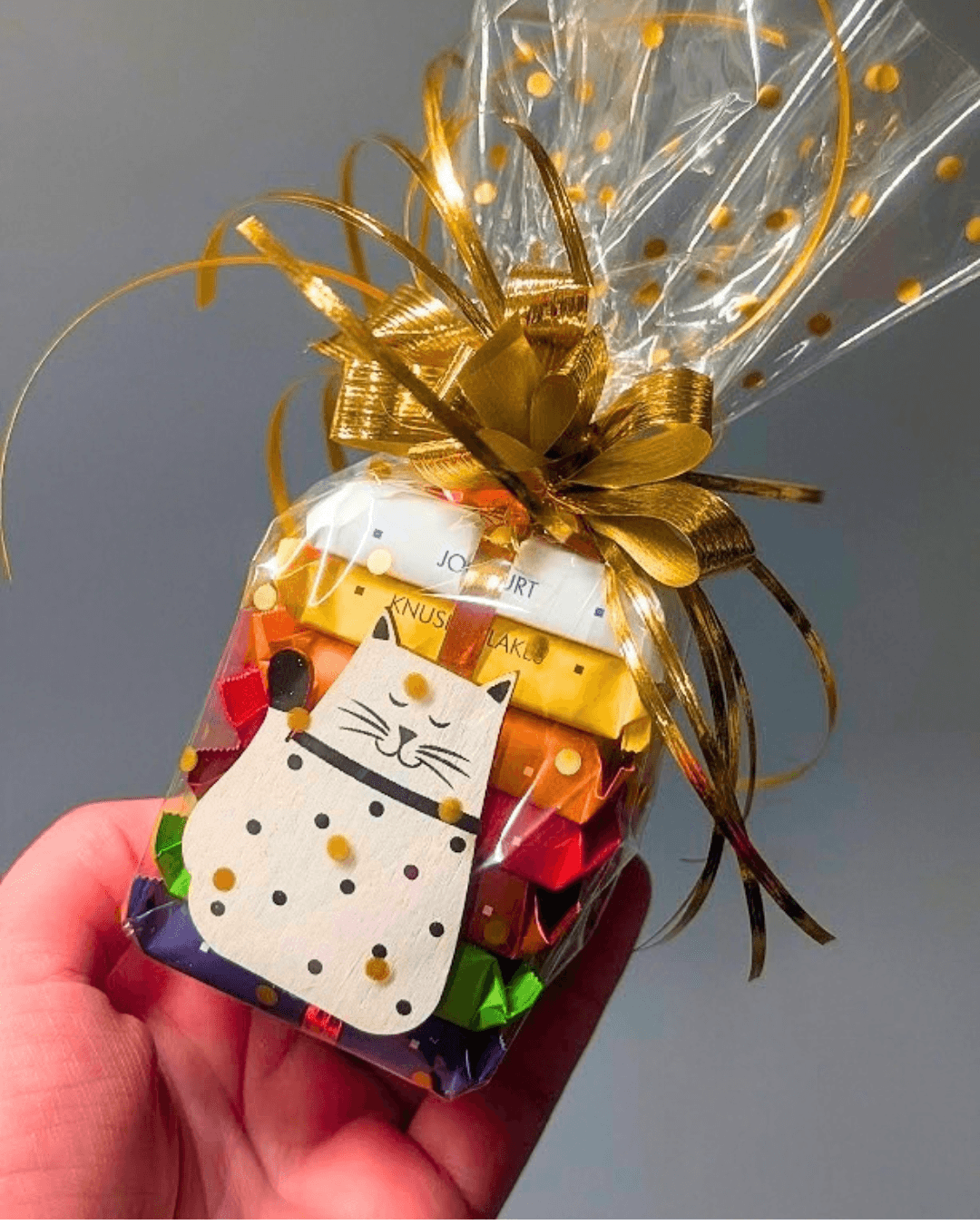 Mini dárkový balíček Ritter sport čokoládky DUHA KOČIČKA