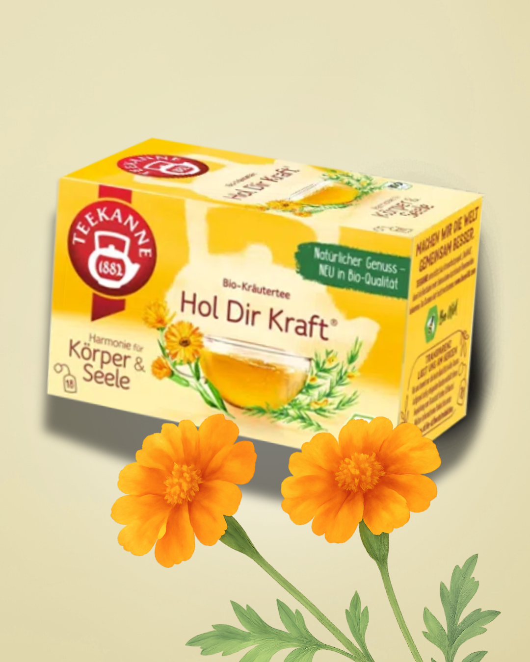 TEEKANNE čaj bylinkový Načerpejte sílu (36 g) – Hol Dir Kraft