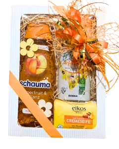 Dárková krabička Elkos a Schwarzkopf schauma